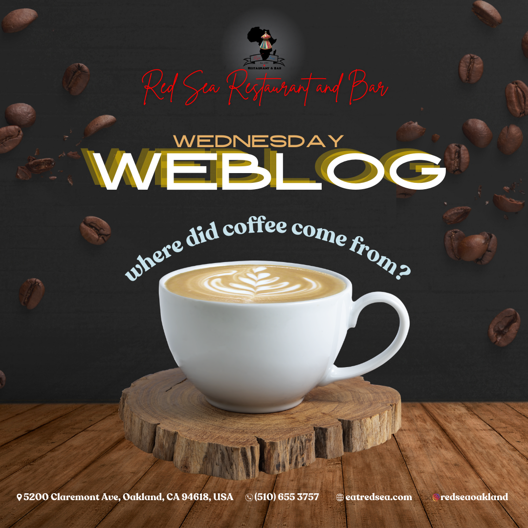 What does coffee do to you? Does it make you sing like an unstoppable fan at a Taylor Swift concert? Or maybe… it makes you dance like an energetic goat - that’s exactly what happened in the Legend of Kaldi, telling us the origin of coffee. This Ethiopian story says that Kaldi was looking for his missing goats only to find them dancing lively after consuming coffee berries! Whether it’s true or not, the Legend of Kaldi from the 9th century makes sense as coffee beans became widely spread across Ethiopia’s neighboring country, Eritrea. If England has an afternoon tea ceremony, the Ethiopian/Eritrean culture has a traditional coffee ceremony, which is a ritualistic process that involves various steps. Wherever you go in Ethiopia, they have a conventional ceramic coffee pot called 𝙟𝙚𝙗𝙚𝙣𝙖. An average coffee drinker drinks a cup of coffee at a time. However in the Ethiopian/Eritrean coffee ceremony, the little cups are usually served three times - and they have their very own names and meanings: 𝗔𝗯𝗼𝗹 is for pleasure. 𝗧𝗼𝗻𝗮 provokes contemplation; and 𝗕𝗮𝗿𝗮𝗸𝗮 is a bestow of blessing. How lovely it is to attend such a ceremony! It’s not just about drinking coffee - it is a time for you and your loved ones to catch up and reconnect with each other. The Ethiopian/Eritrean Traditional Coffee Ceremony Culture proves that quality time with someone we love gives us as much dopamine as coffee does.